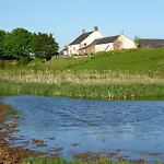 The Oaks